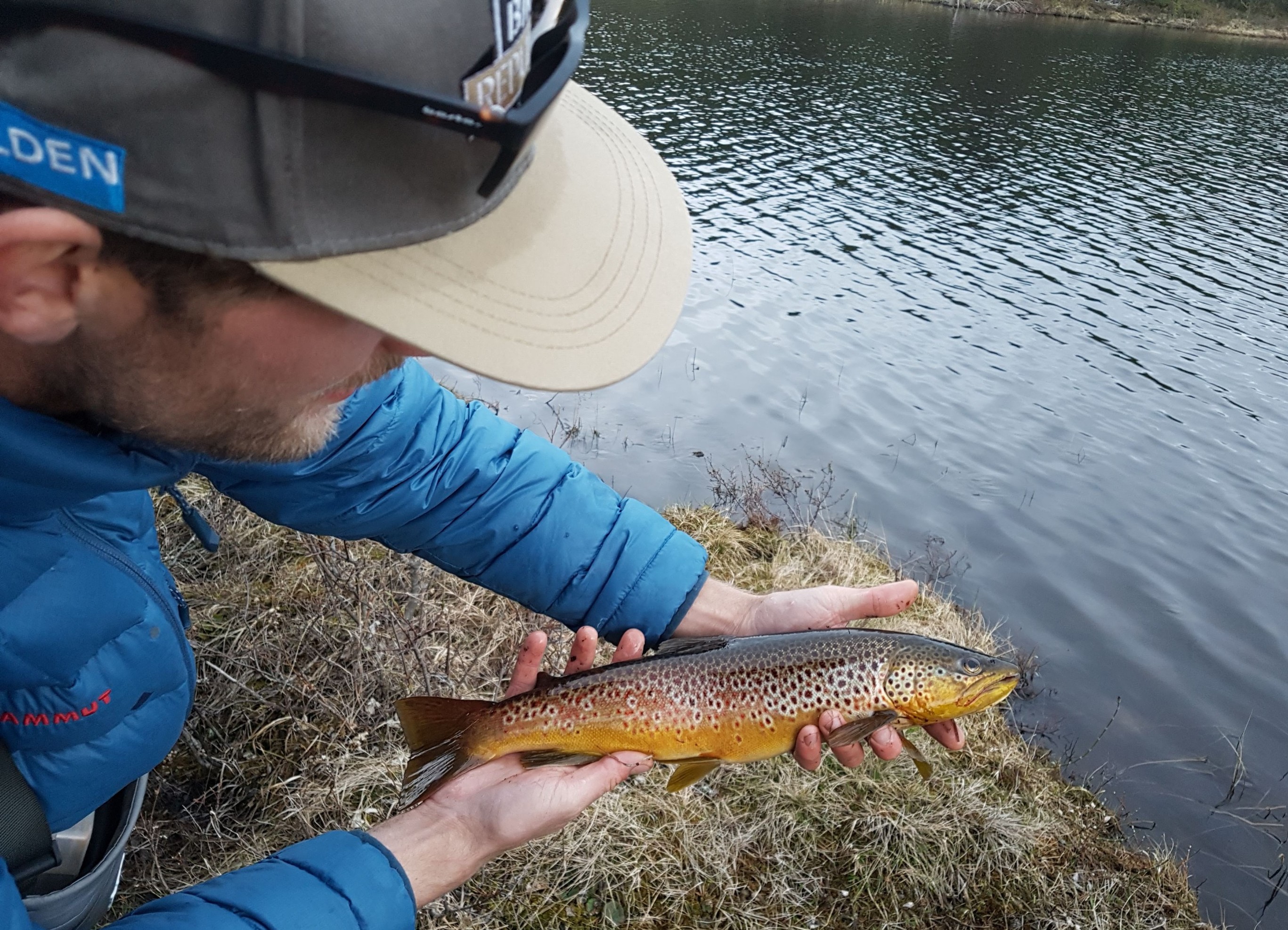 Person holding a trout by a stream